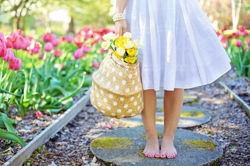 garden flowers