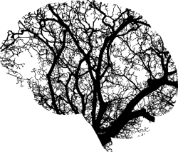neurofeedback neurobiofeedback brain activity