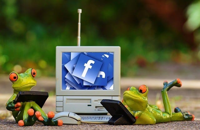frogs and social media
